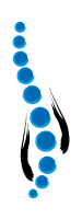 BSensus logo